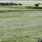 Monfraguee Country house *