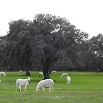 Country house Monfraguee