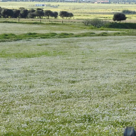 Monfraguee Country house *