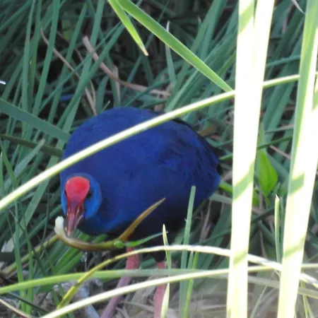 Monfraguee Country house