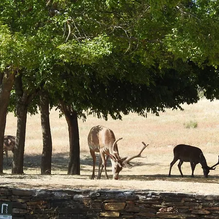 Monfraguee Country house Villarreal de San Carlos
