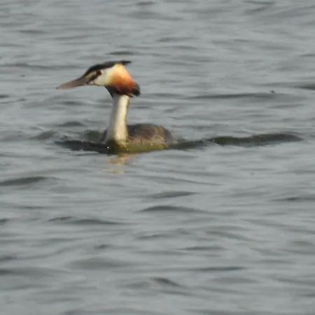 Monfraguee Летний дом *