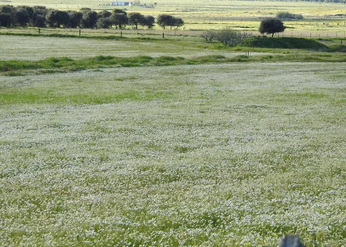 Monfragüe Casa rural *