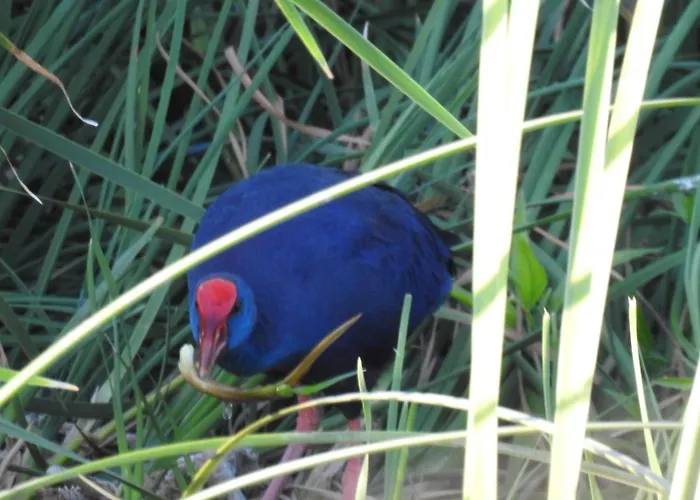 Monfragüe Casa rural