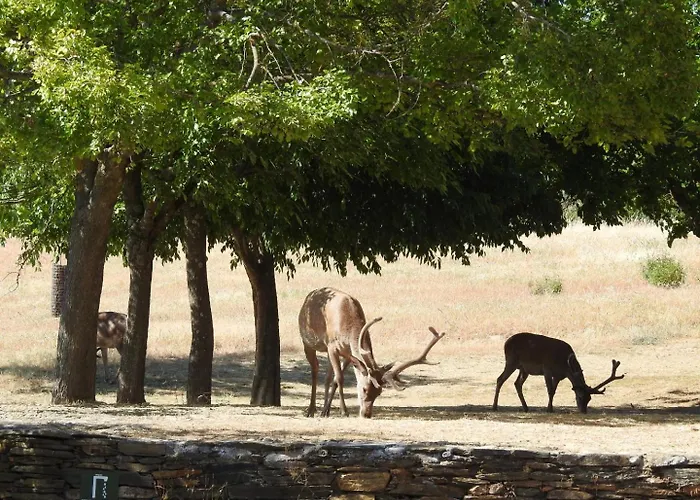 Monfraguee Летний дом Вильяреаль-де-Сан-Карлос