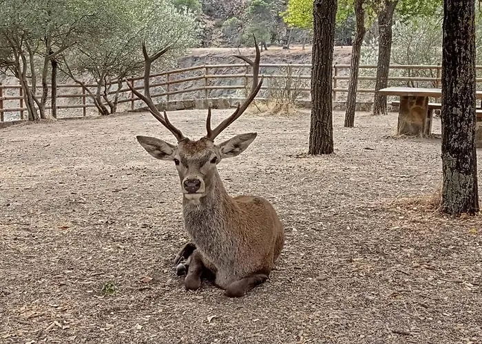 Monfraguee Летний дом