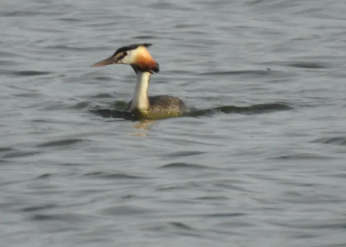 Monfraguee Летний дом *