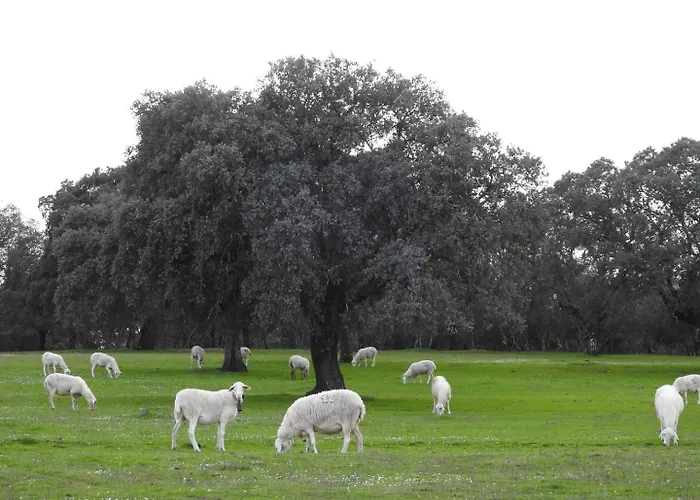 Летний дом Monfraguee