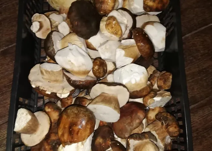 Летний дом Monfraguee Вильяреаль-де-Сан-Карлос