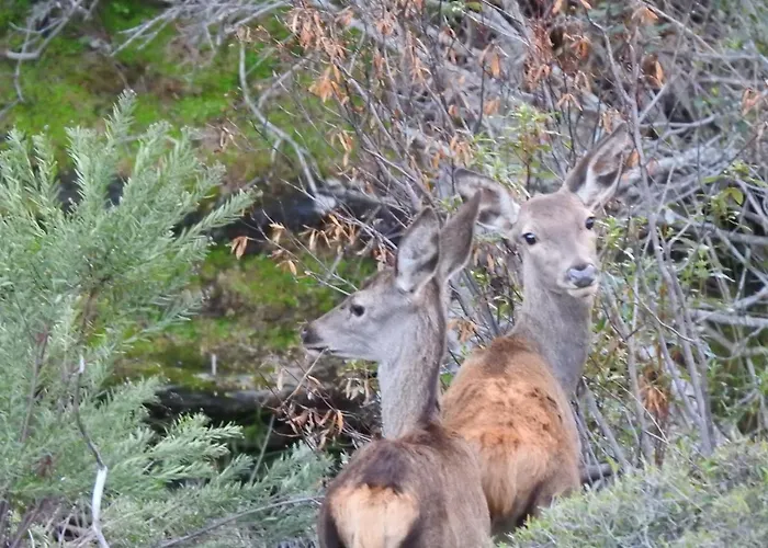 Monfraguee Летний дом *